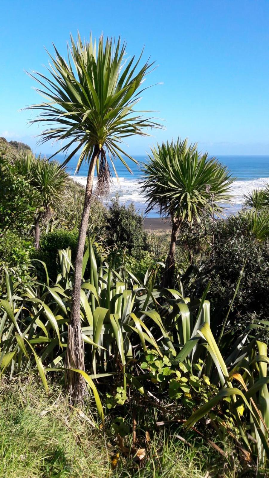 Te Henga Hideaway Villa Bethells Beach Екстериор снимка