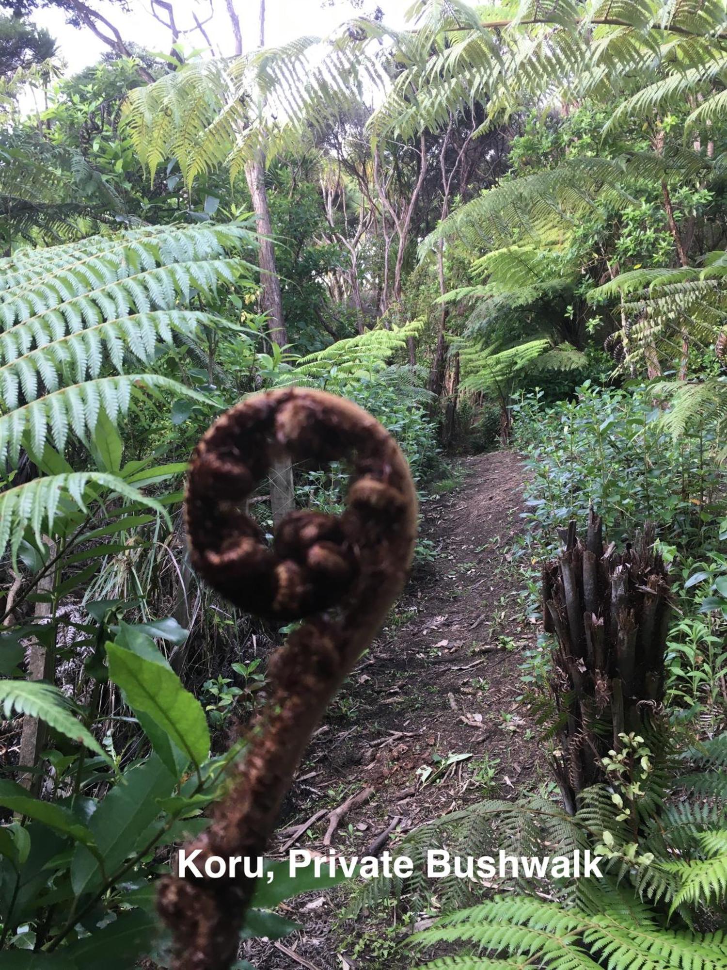 Te Henga Hideaway Villa Bethells Beach Екстериор снимка