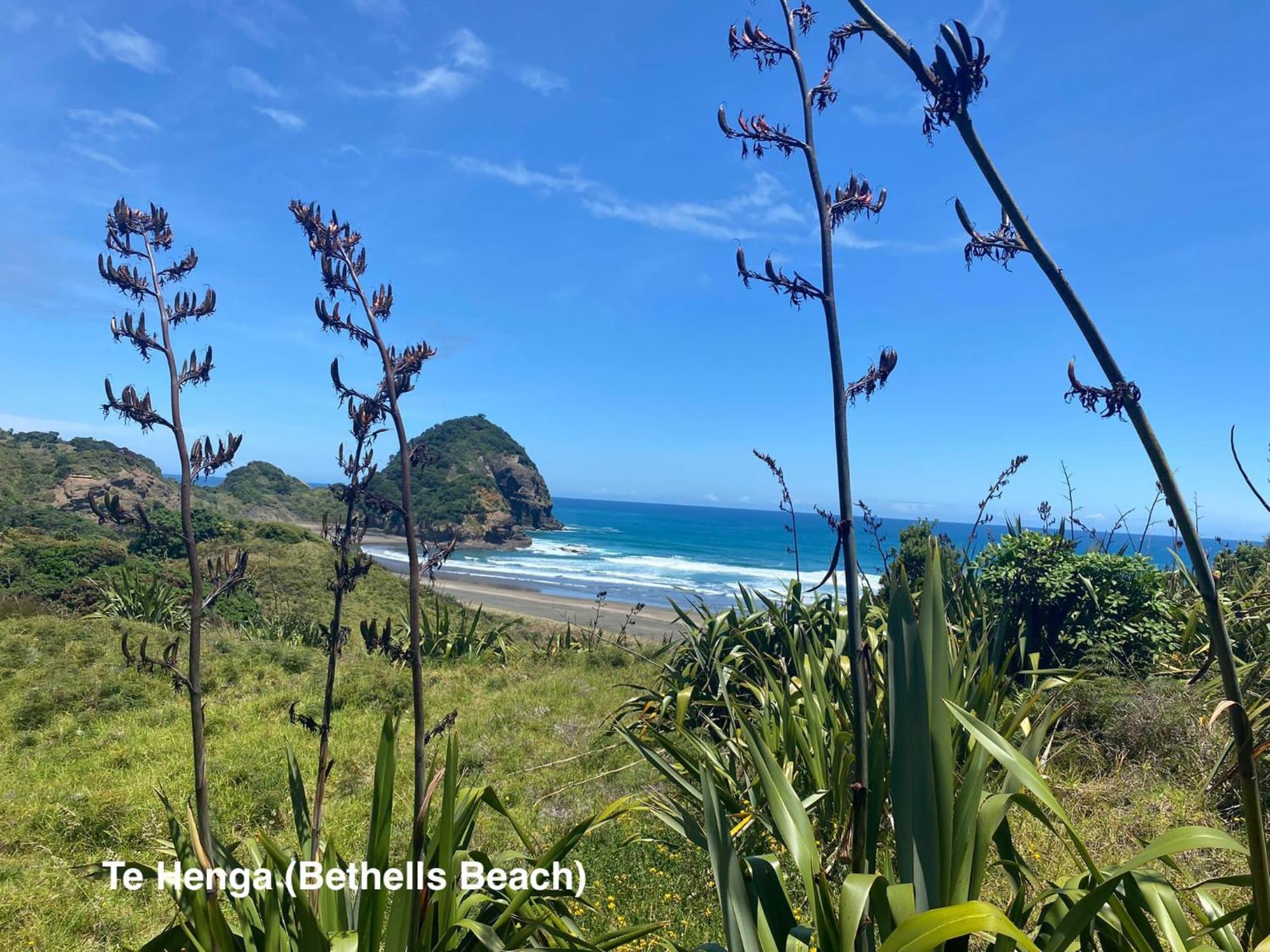 Te Henga Hideaway Villa Bethells Beach Екстериор снимка